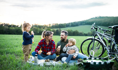 almuerzo familia picnic paseo bicicleta padre madre ninos ninas tarde parque prado pradera loma campo campina