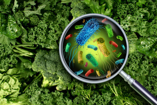 Cómo prevenir la intoxicación alimentaria durante el embarazo