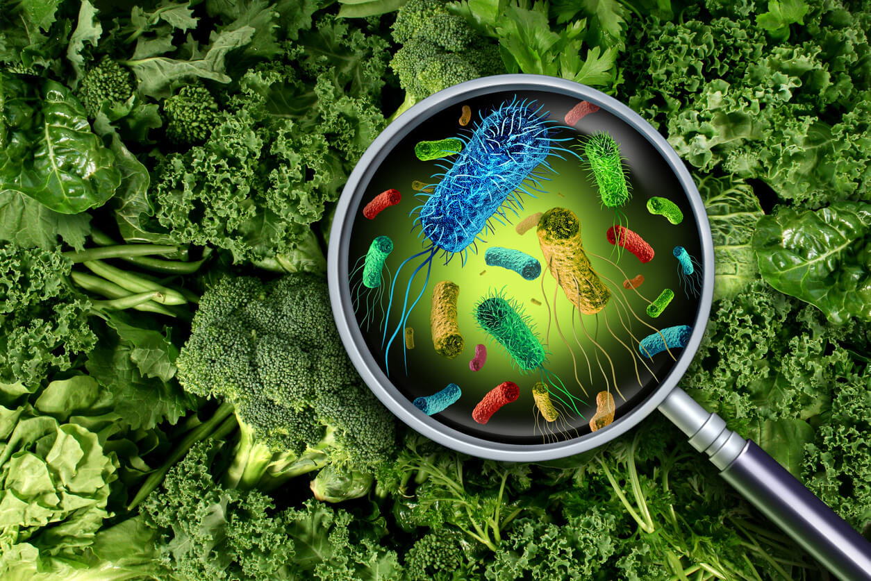 A magnifying glass revealing microorganisms on leafy greens.