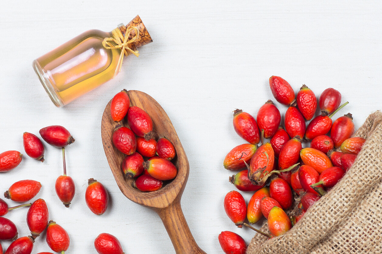 Fruits d'églantier avec une bouteille d'huile de rose musquée.