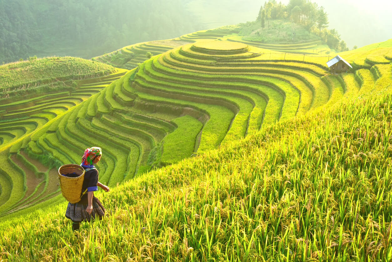 38 nombres de origen vietnamita para niñas