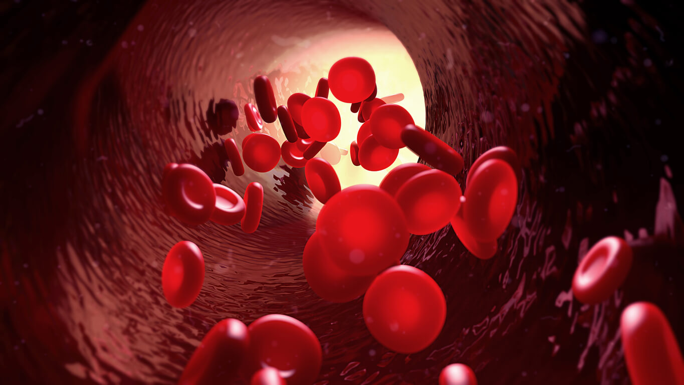 globulos rojos viajan en luz de vaso sanguineo sangre concepto anemia