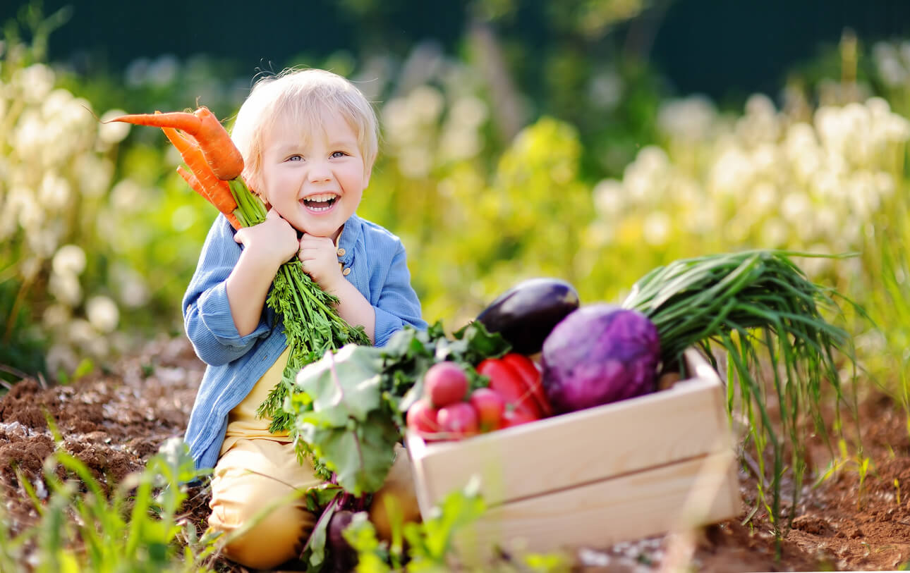 Concetto di mangiare vegetariano vegano non onnivoro bambino raccoglie verdure raccolto in giardino verde all'aperto carriola pomodori carote melanzane