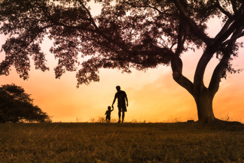 padre e hijo caminan por el prado campo bajo arbol atardecer