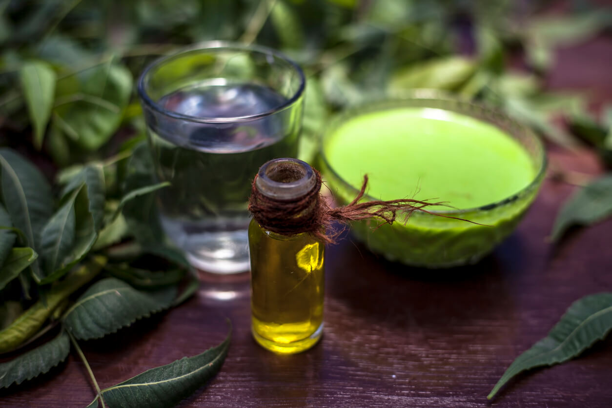 Melaleuca alternifolia olio essenziale di tè dell'albero