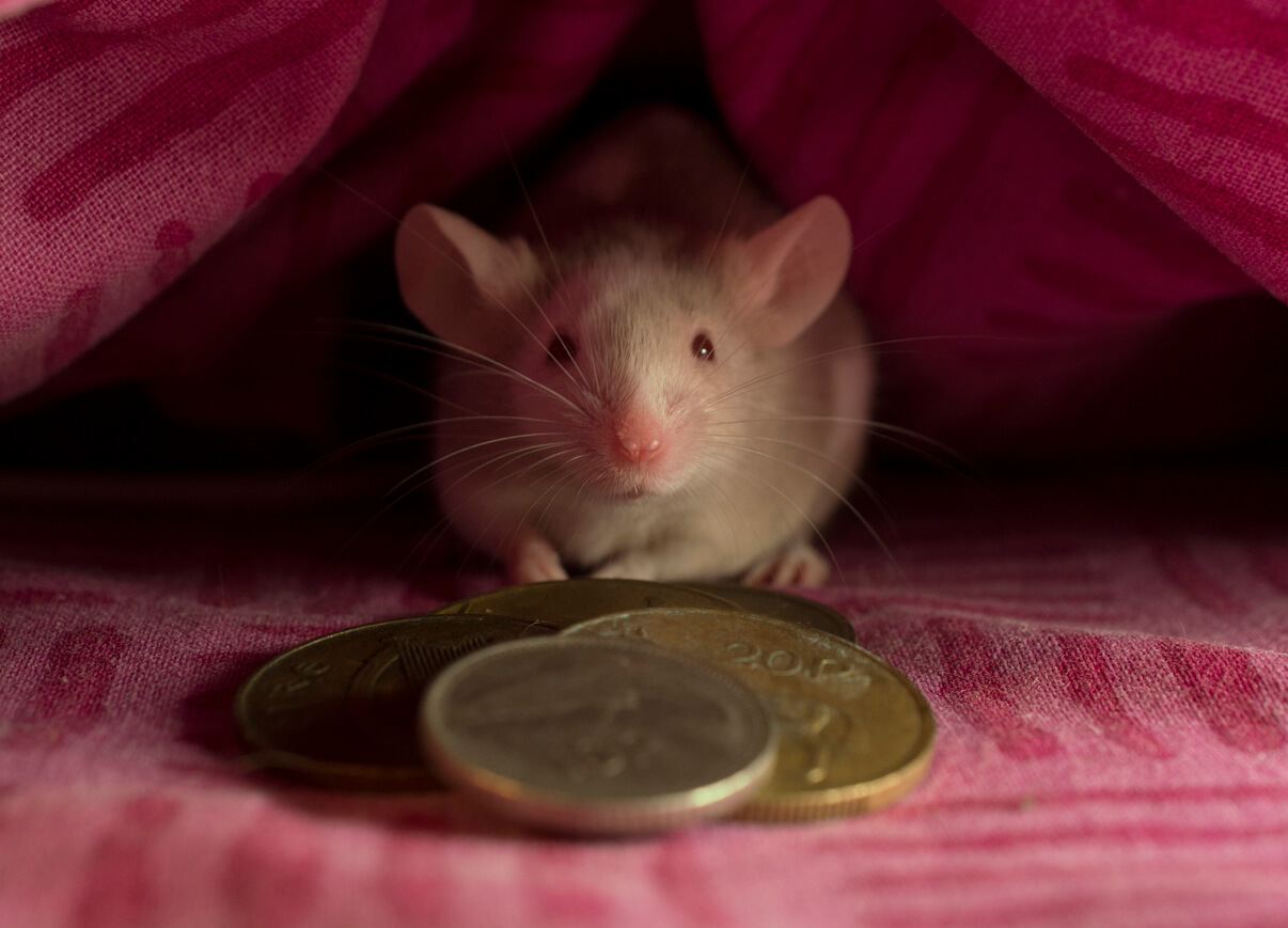 ¿Cómo hacer una puerta para el ratoncito Pérez?
