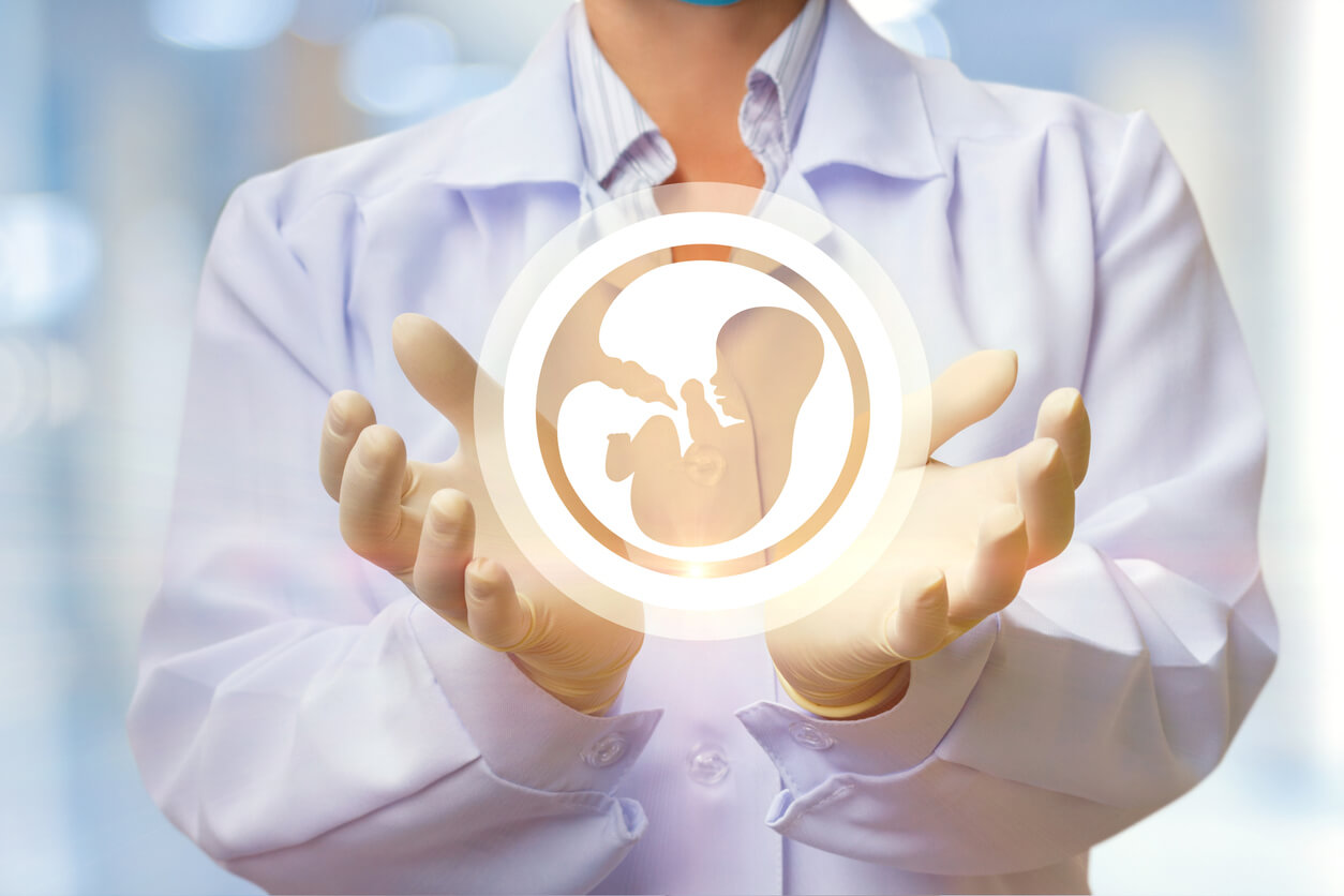 concepto de reproduccion asistida tratamiento fertilidad embrion en manos de cientifico medico