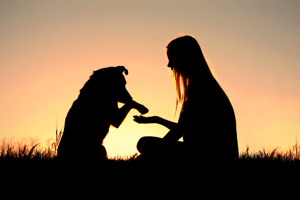 atardecer campo mujer joven adolescente toma la pata de su perro
