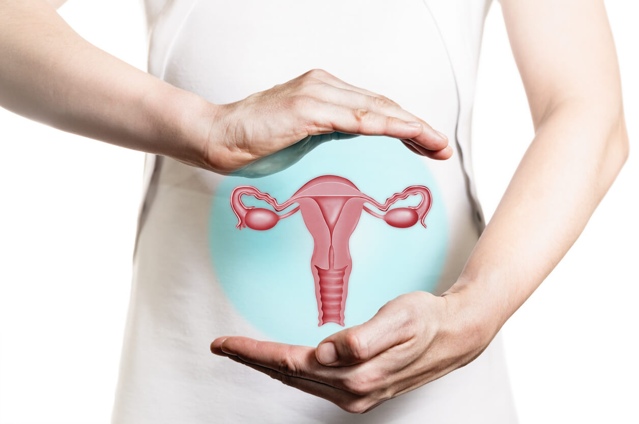 utero ovaie tube di Falloppio