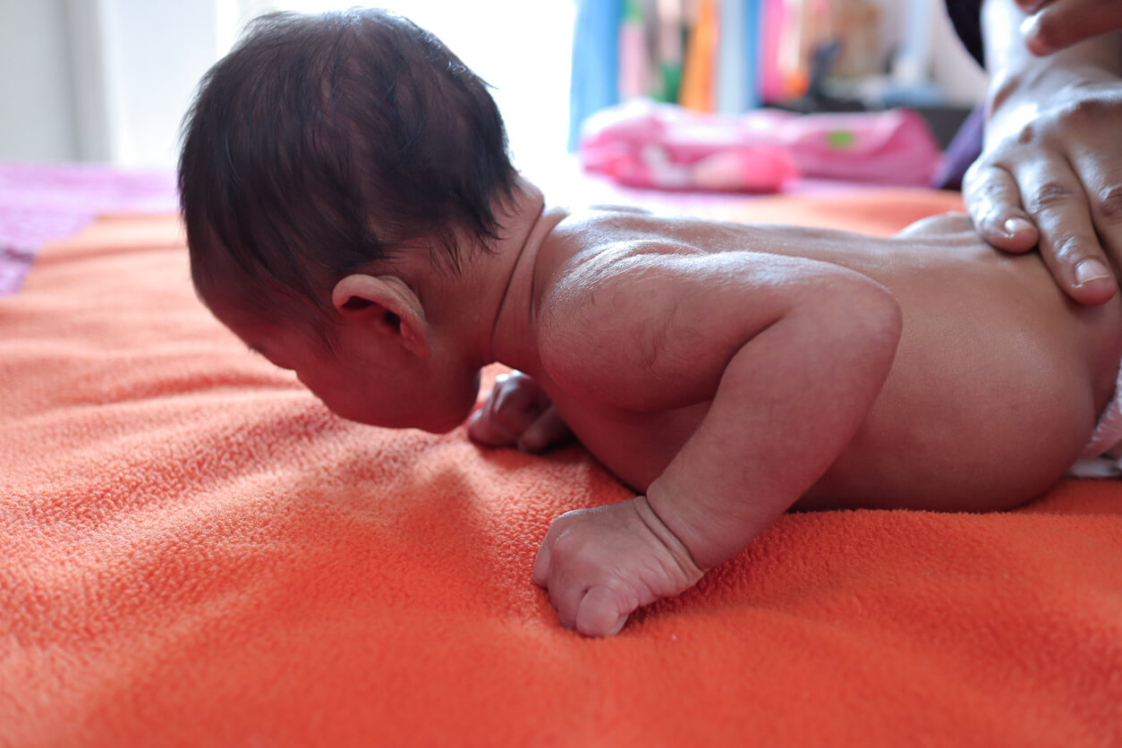 bebe recien nacido ejercicio sobre piso manta boca abajo sosten cefalico