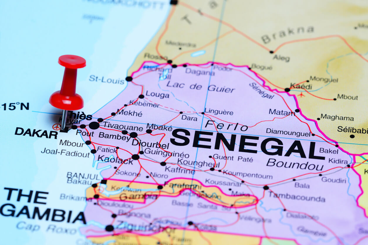 senegalese