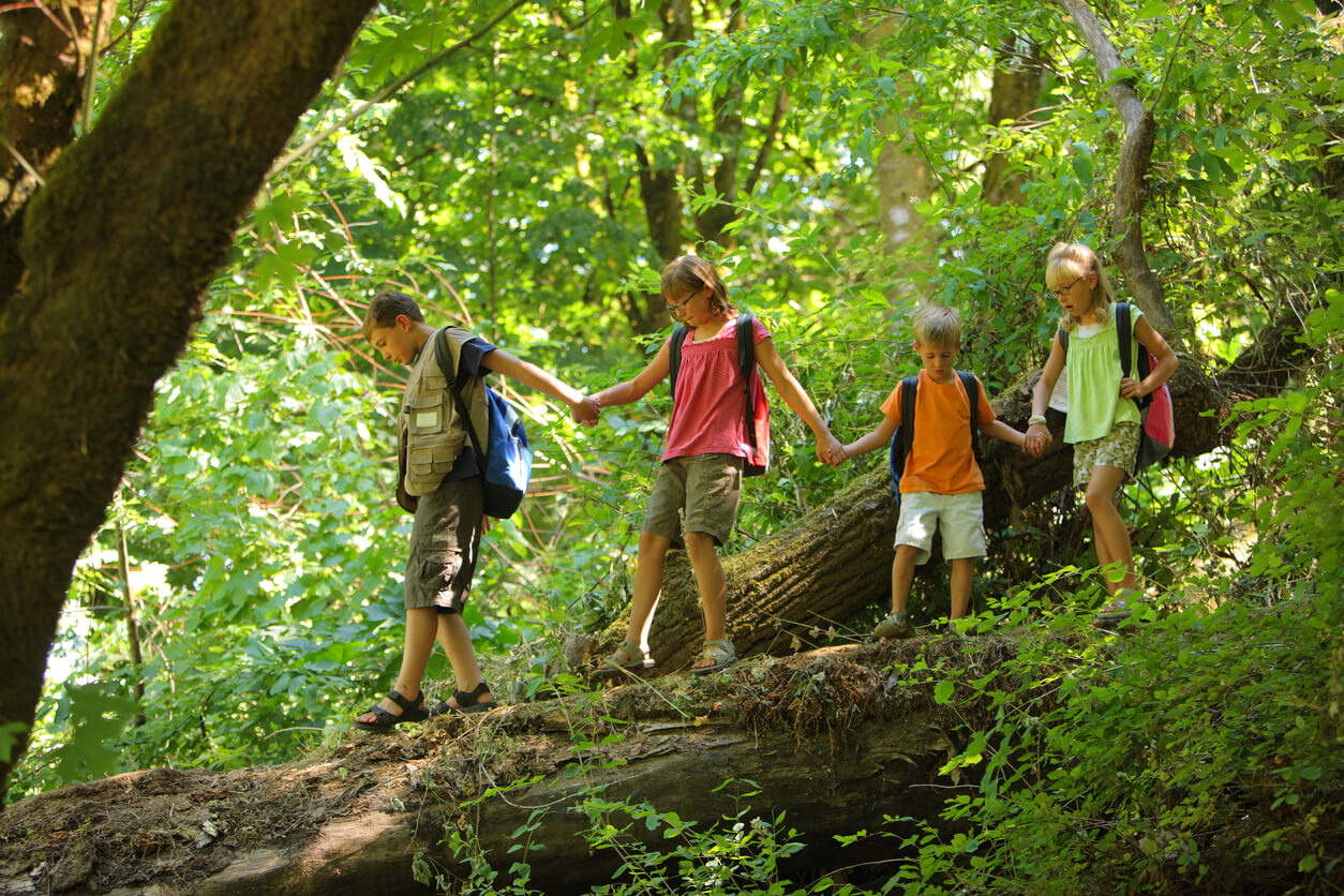 Children walking on a fallen tree while hiking in the woods.