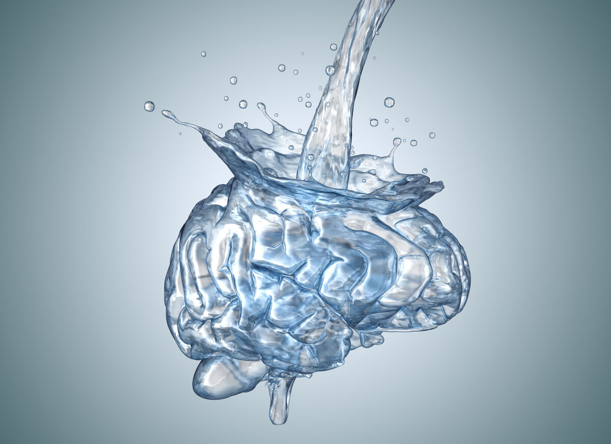 hidratacion habito saludable nutricion cerebro neurdesarrollo