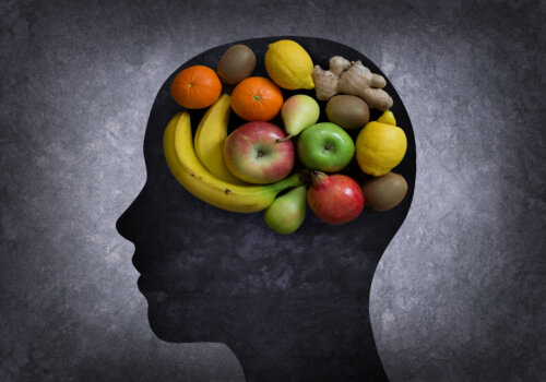 concepto de alimentacion y neurodesarrollo psicologia