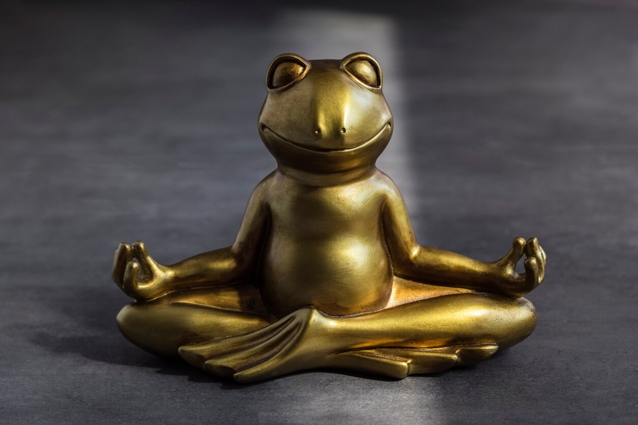 Técnica de la rana: un ejercicio para el autocontrol infantil