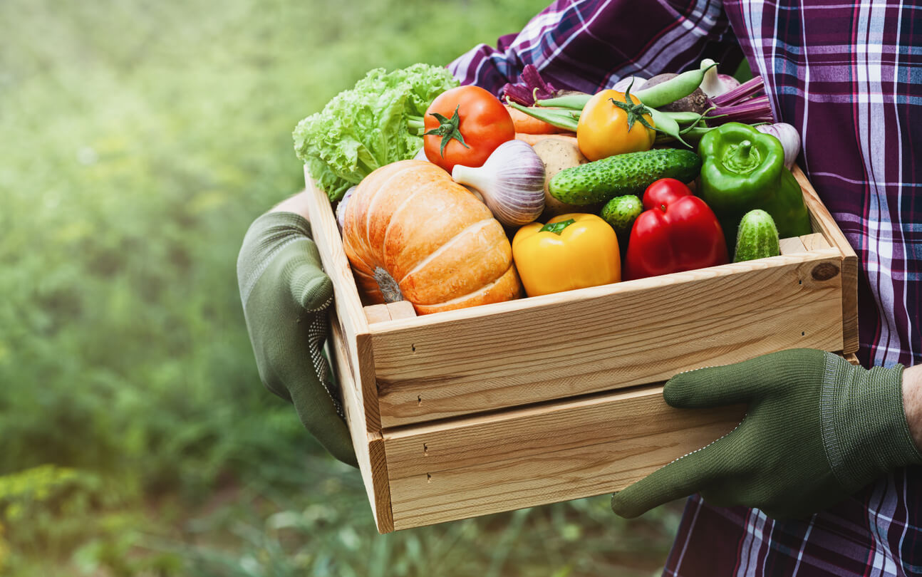 panier de moissonneuse de champs d'aliments frais et naturels légumes et légumes