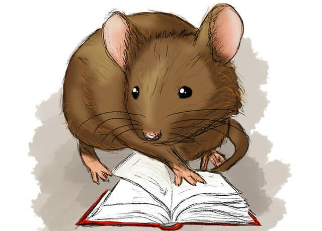 leer cuento