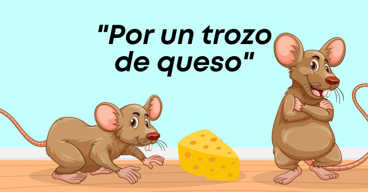 "Por un trozo de queso", cuento que enseña a los niños a pedir perdón