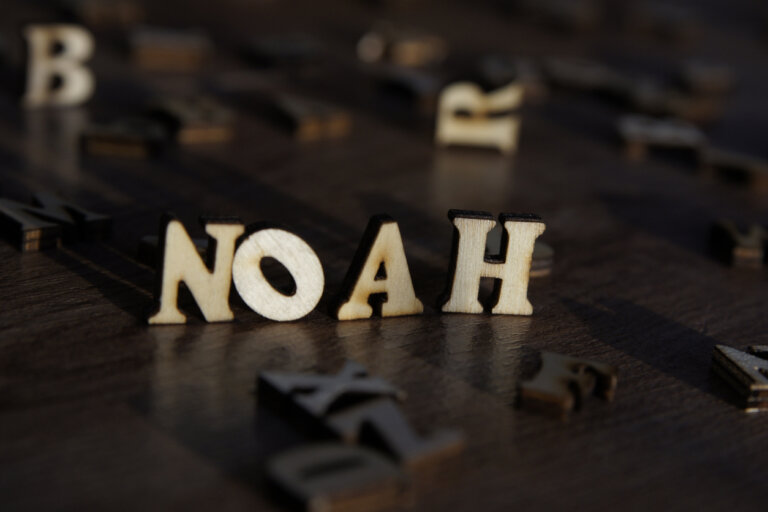 Origen y significado del nombre de Noa