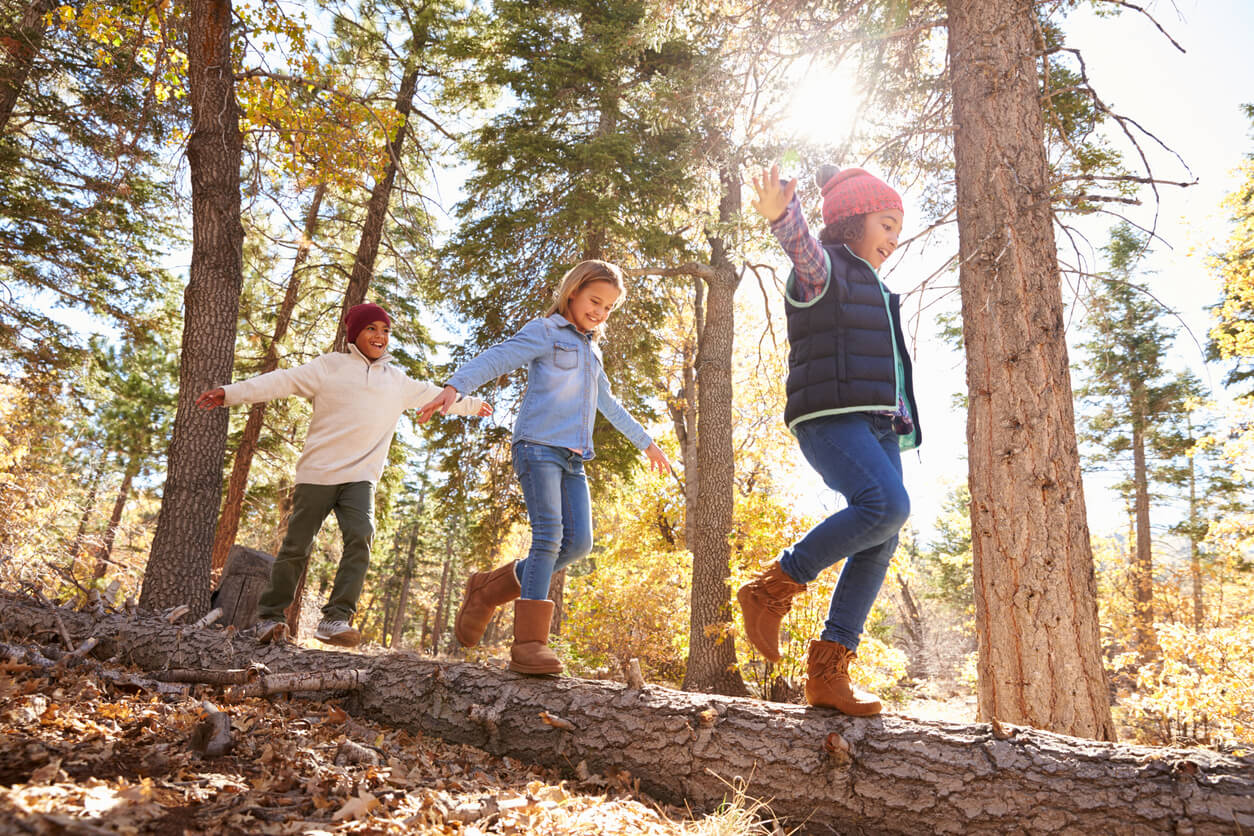 Three children balancing on a fallen tree in the woods.