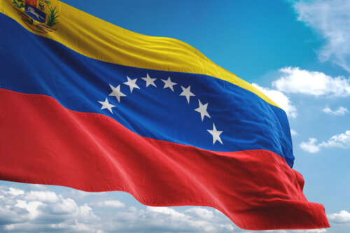 bandera y escudo de venezuela