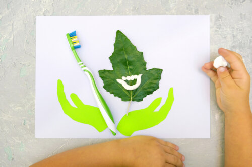 hoja de papel y de arbol con cepillo de dientes y piezas dentales de plastilina