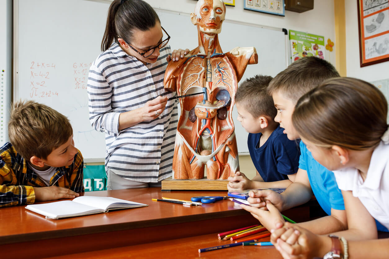 maestra ensena a los ninos anatomia humana cuerpo aula colegio clase