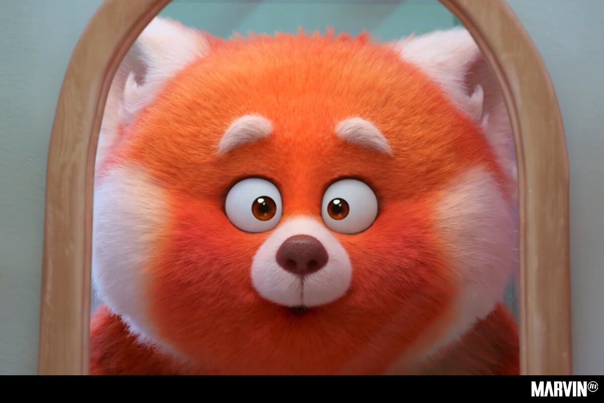 caractère de réseau dans le concept d'authenticité miroir