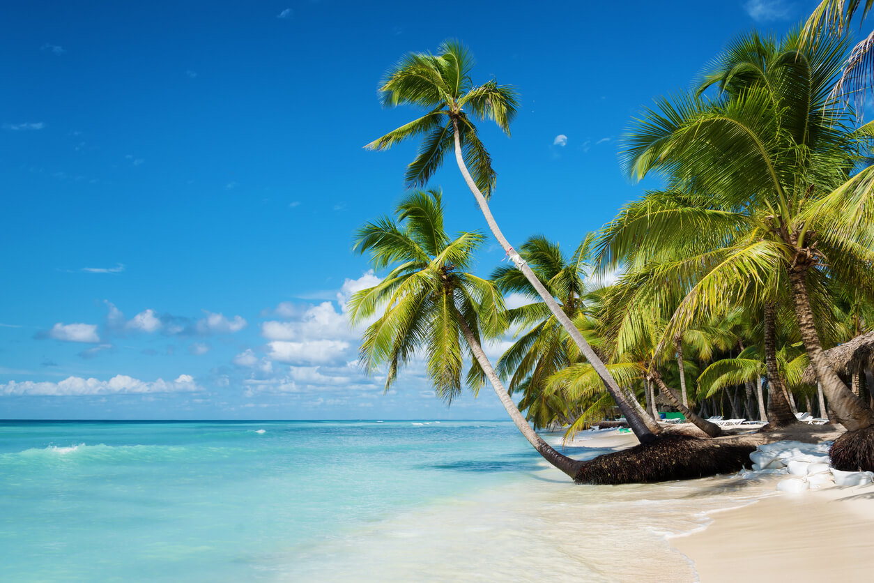 playa de punta cana republica dominicana isla saona