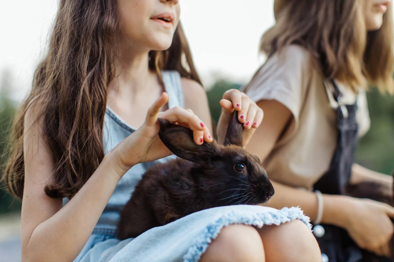 Une jeune fille avec un lapin. 