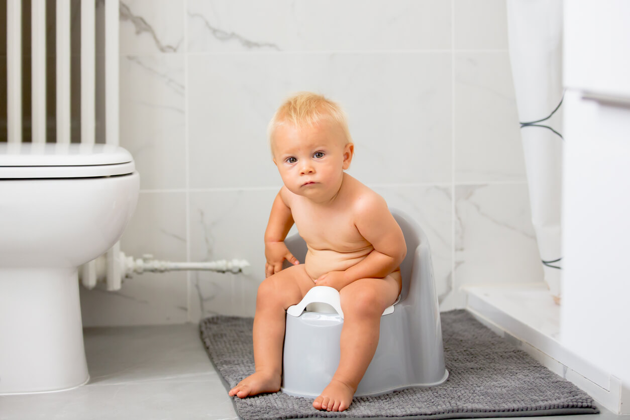A toddler sitting on a potty touching his genitals.