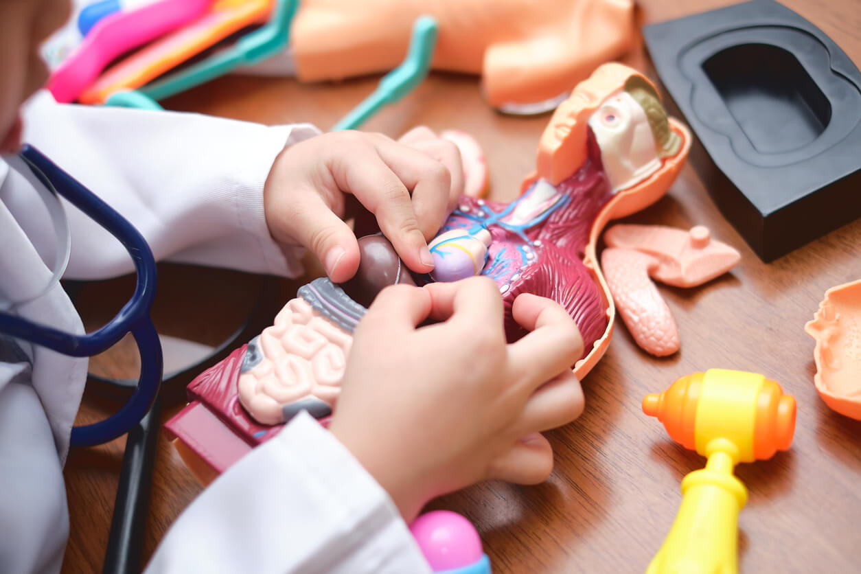 7 apps para aprender sobre el cuerpo humano