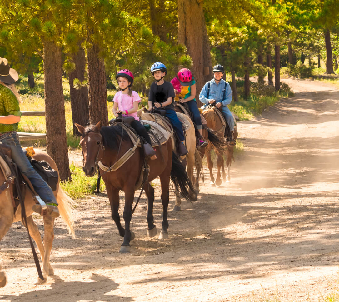 Un groupe d'enfants en balade à cheval.