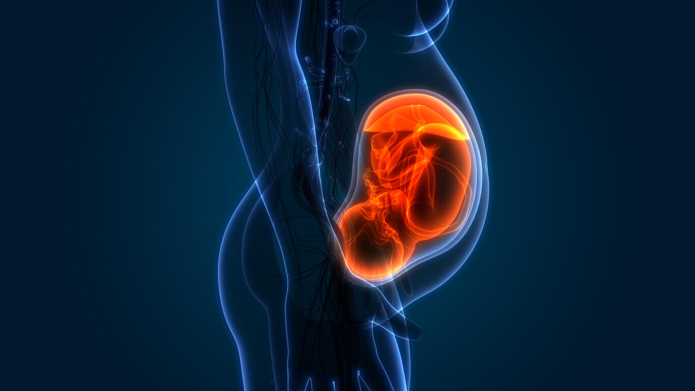 Grados de maduración de la placenta
