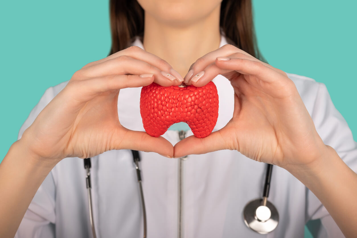 femme médecin endocrinologue tient la glande thyroïde à la main