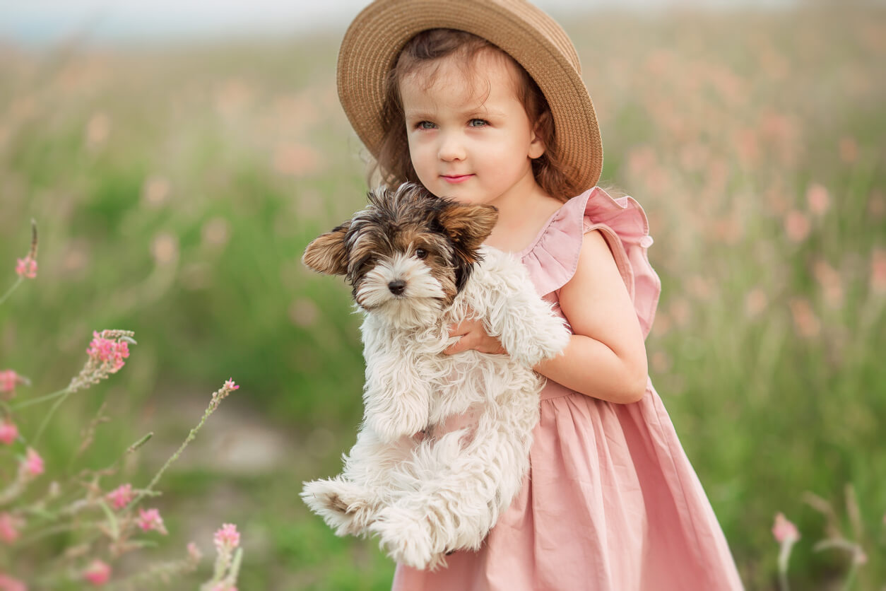 Origen y significado de Rebeca