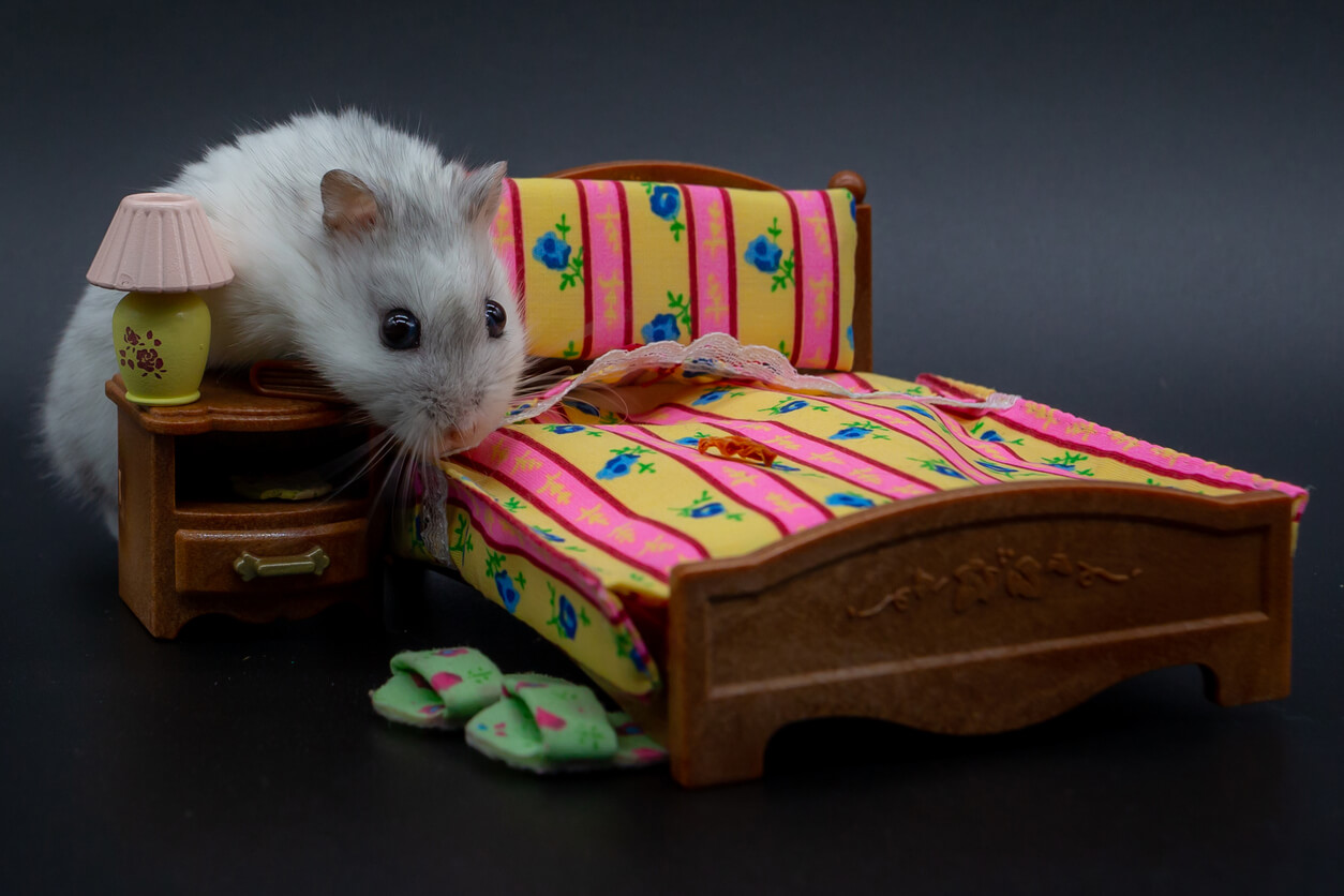 cama almohada diente raton perez