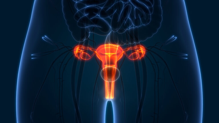 ¿Cómo revisar tu cuello uterino?