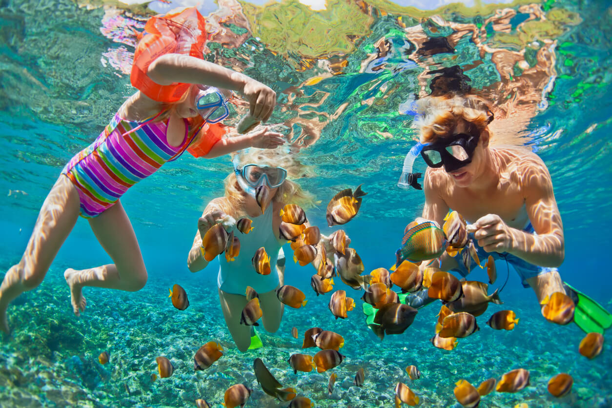 família snorkeling no recife do mar vida marinha peixes