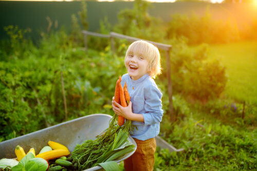 nino verduras organizas zapatto zanahorias hortalizaz verdes