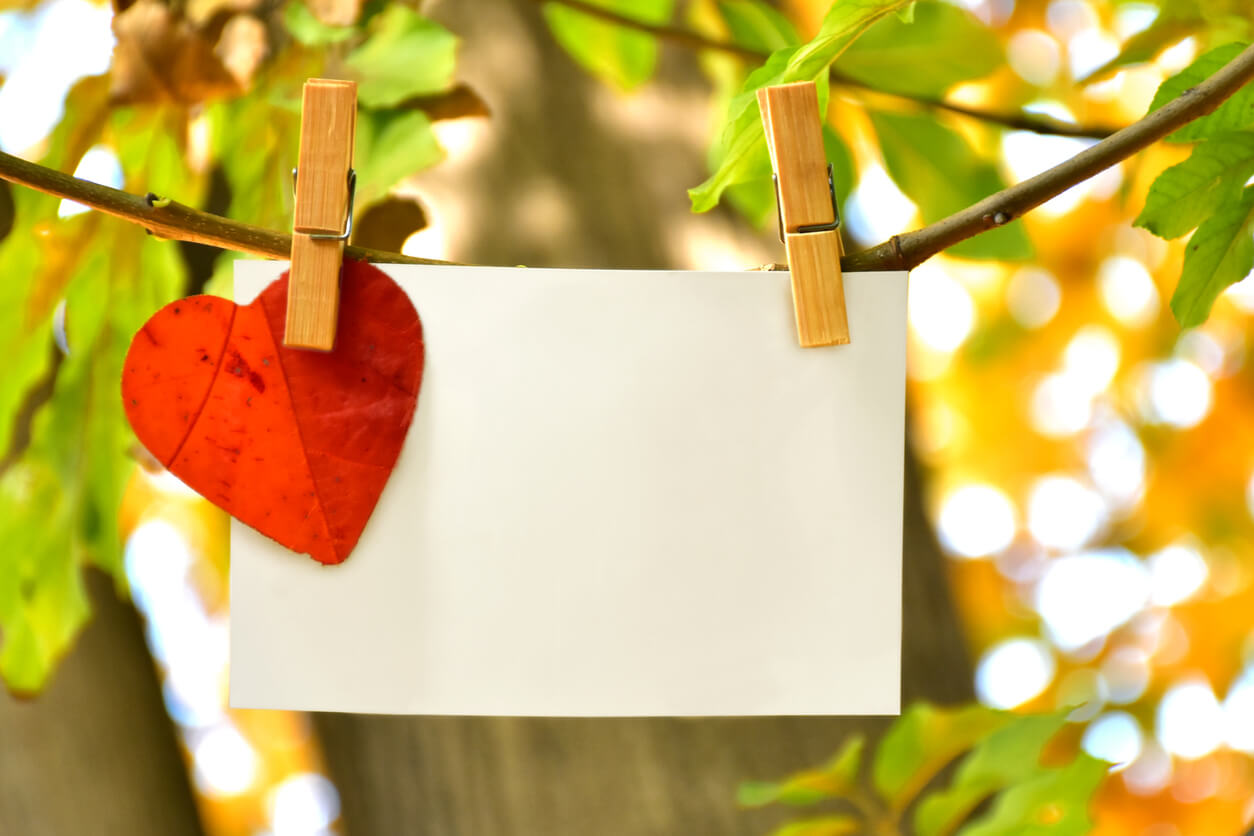 Ett papper och ett hjärtformat blad fäst vid en trädgren.
