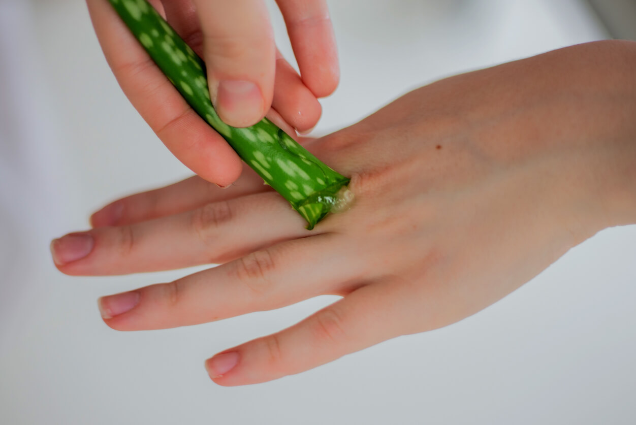 5 beneficios del aloe vera para los niños