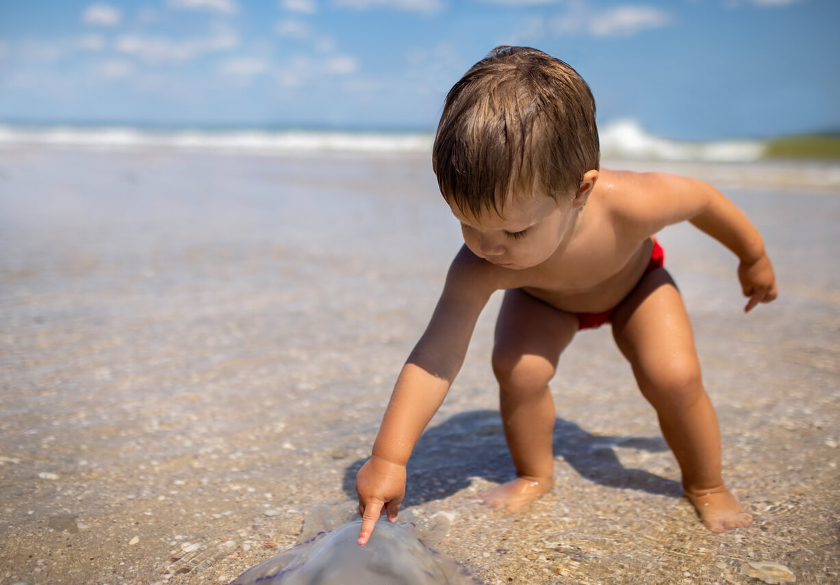 A baby bending over at the beach to touch a jellyfish.