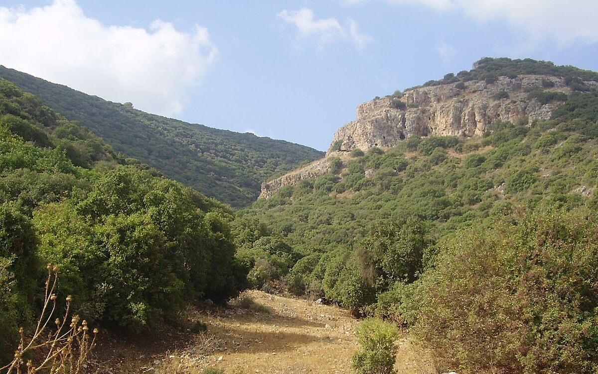 Karmelberget i Israel.
