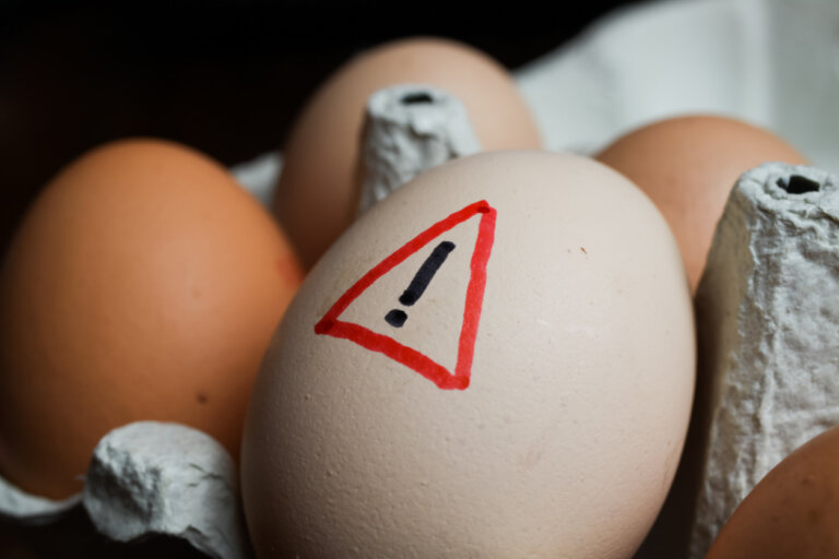 Cómo sustituir el huevo en la alimentación complementaria