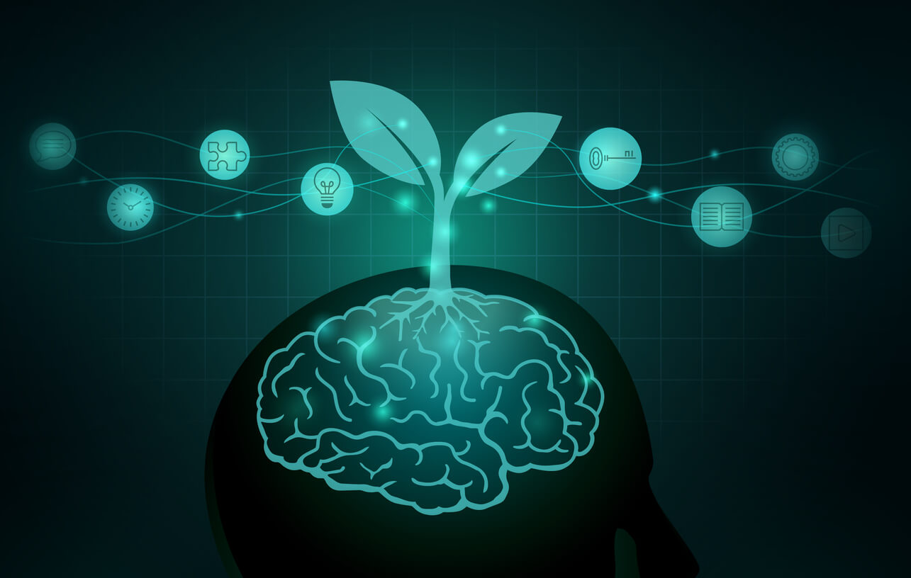 Et datastyrt bilde av en plante som vokser ut av en hjerne.