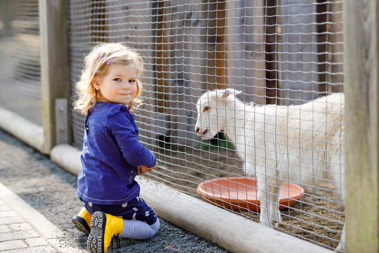 Une jeune fille à côté d'un agneau.