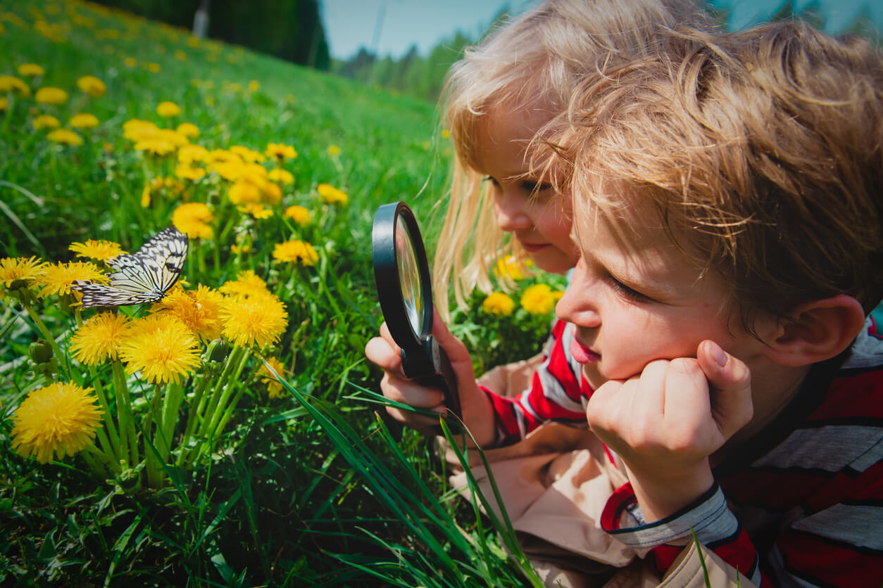 Des enfants qui observent un papillon avec une loupe.