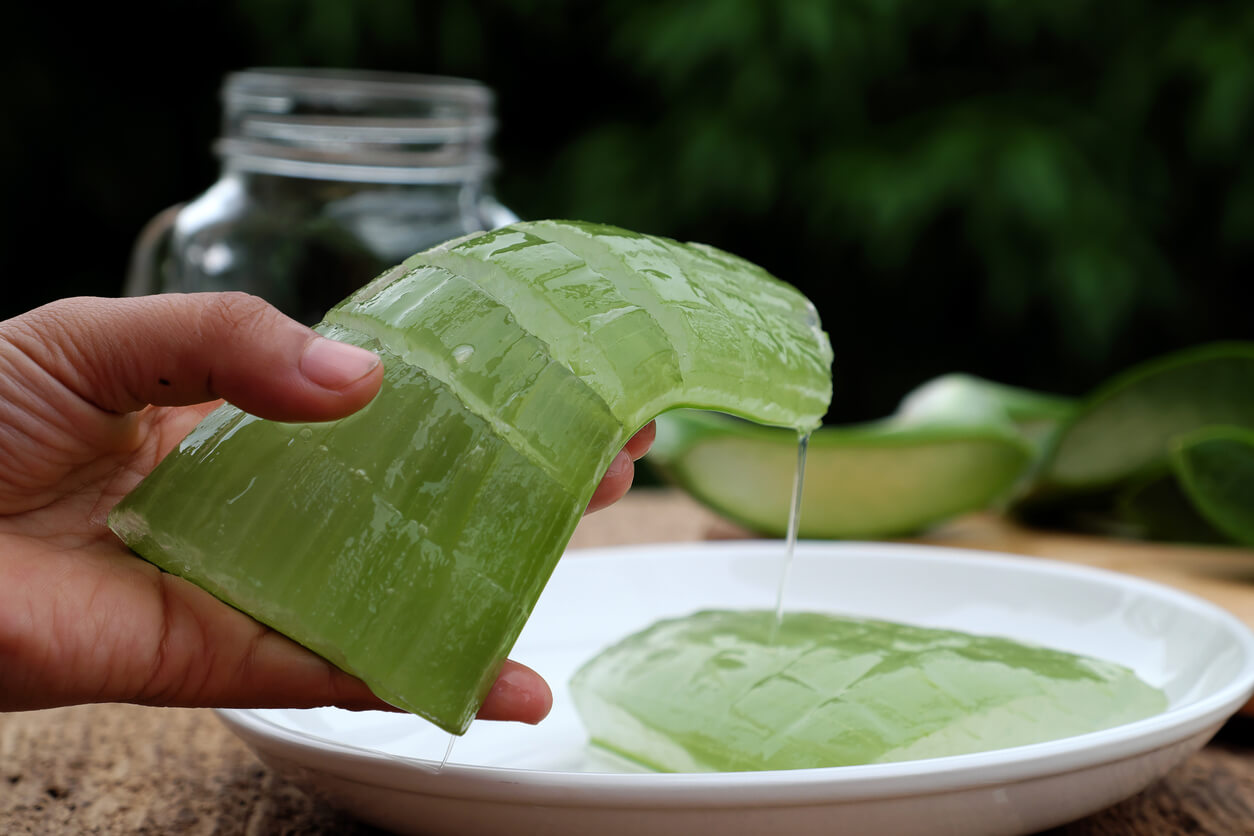 ¿Cómo reducir las estrías con aloe vera?
