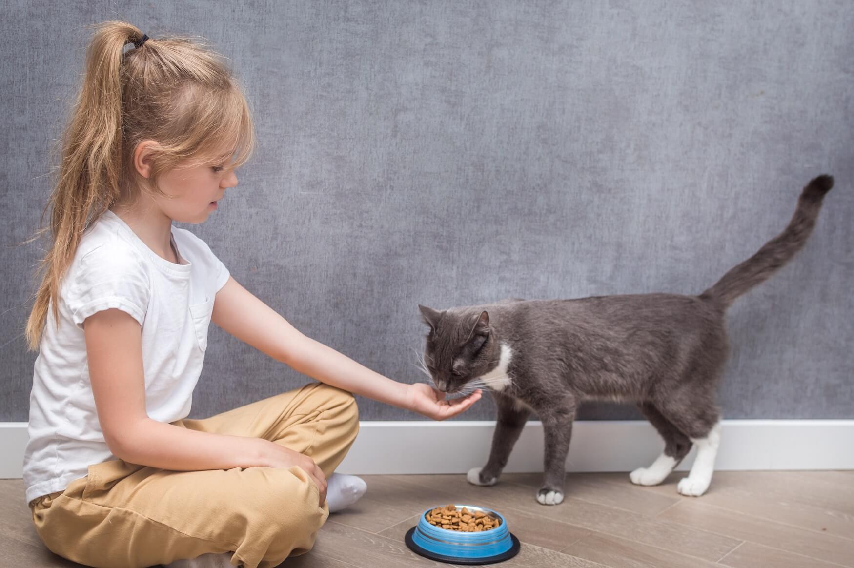 A young girl feeding her pet cat.